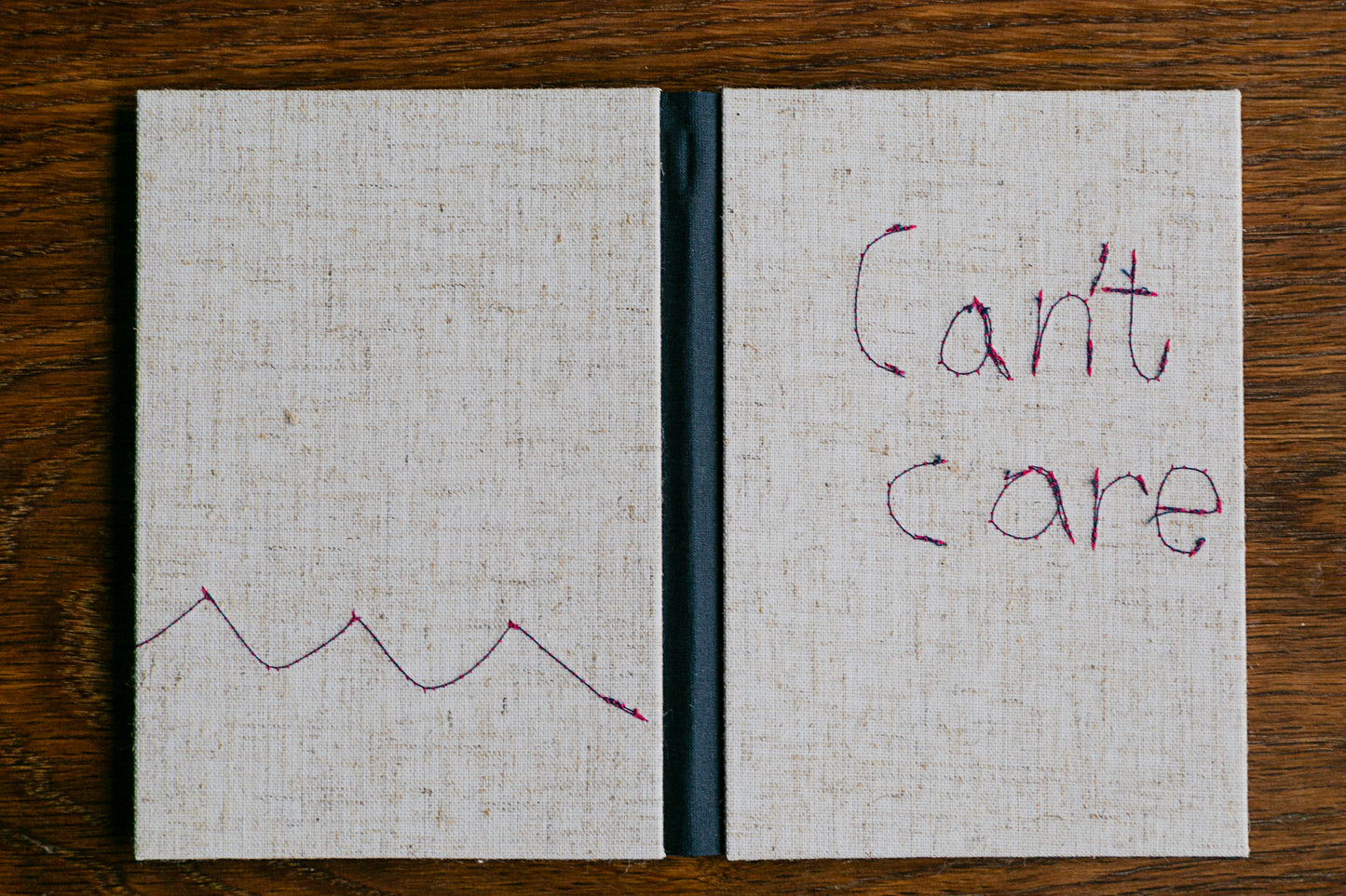 Can't Care - one of a kind hand made notebook